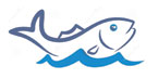 fish meal